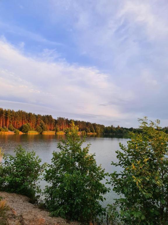 Agroturystyka U Siwego Rokitki  Luaran gambar