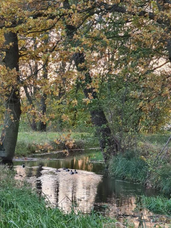 Agroturystyka U Siwego Rokitki  Luaran gambar